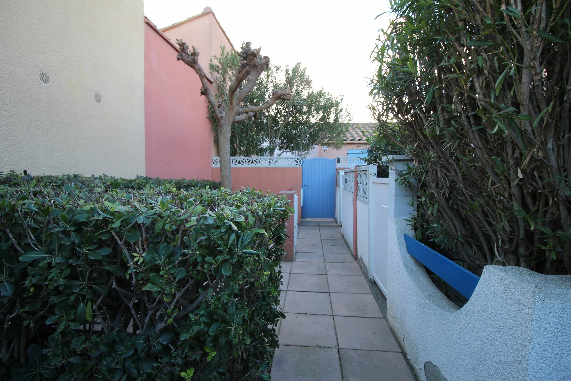 Appartement Charmant A Canet En Roussillon 36 M² Piscine Partagee מראה חיצוני תמונה